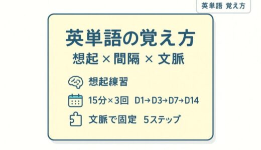 英単語の覚え方を科学する：忘れにくい記憶術と毎日の実践法